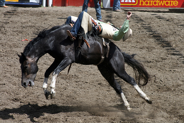 Yee Hah - Bareback Riding