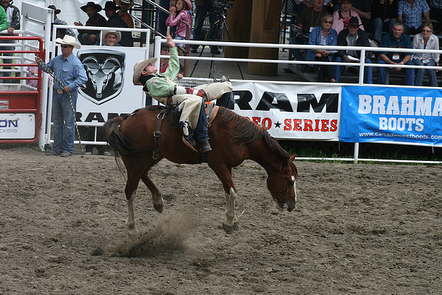 Levitating Horse