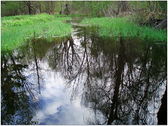 Backwater Pond