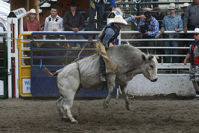 Bull Riding