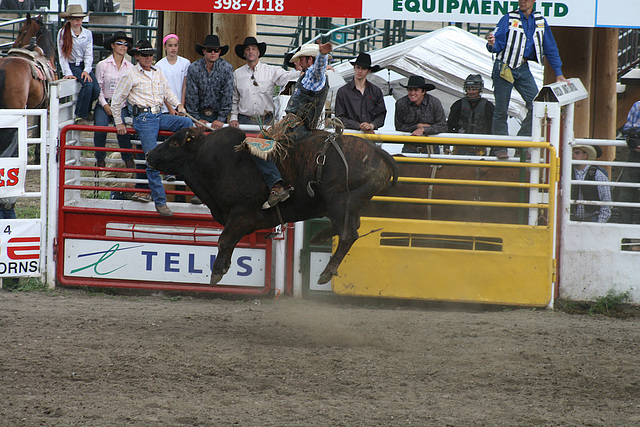 Bulls can Levitate, Too