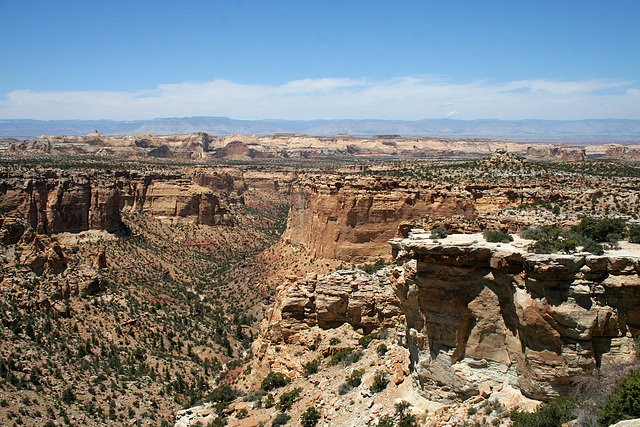 Utah (7403)