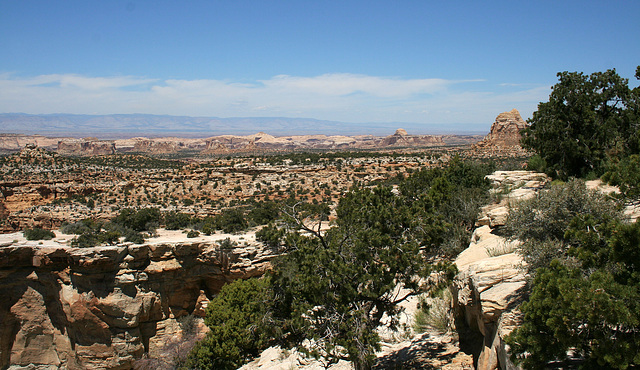 Utah (7404)