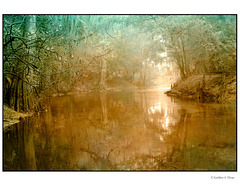 Misty Morning French Kiss Giverny Reflections Texture