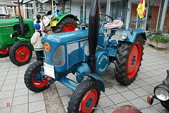 Oberkirch fête des fraises 2010