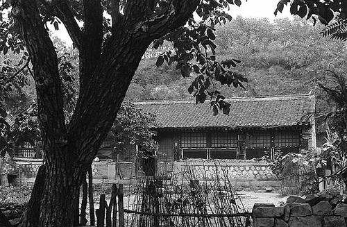 Village house