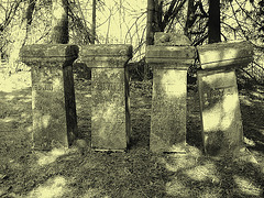 Old Burt cemetery /  Cimetière Old Burt - Près de Essex, NY- USA.  23 avril 2010 - Photo ancienne / Vintage