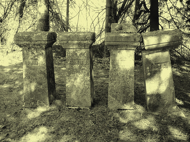 Old Burt cemetery /  Cimetière Old Burt - Près de Essex, NY- USA.  23 avril 2010 - Photo ancienne / Vintage