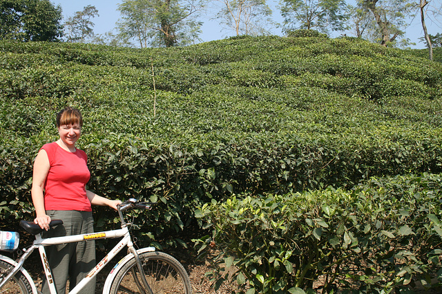 Cycling - Srimangal