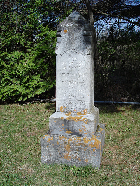 Old Burt cemetery /  Cimetière Old Burt - Près de Essex, NY- USA.  23 avril 2010