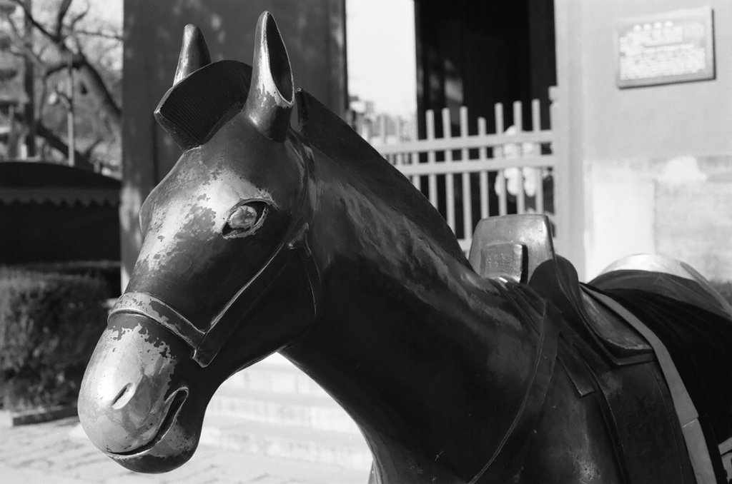 Bronze horse statue