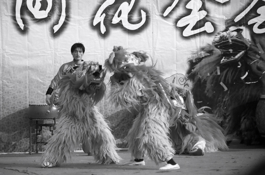 Lion dance II.