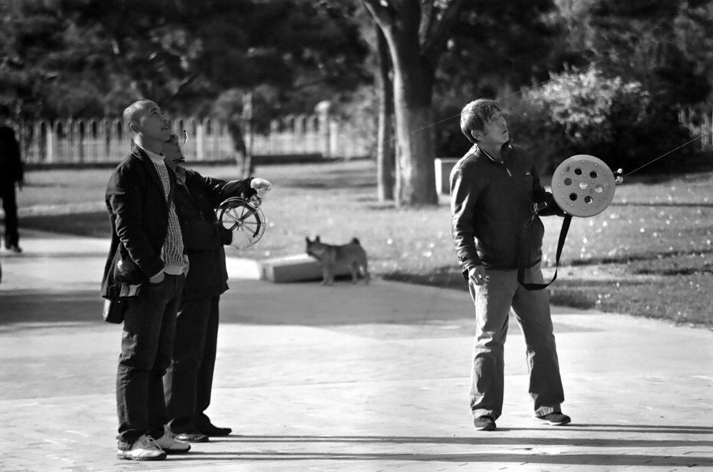 Men and kites III.