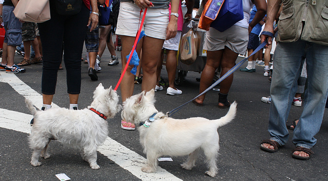 17.18thPrideFest.HudsonStreet.NYC.27June2010