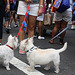 17.18thPrideFest.HudsonStreet.NYC.27June2010