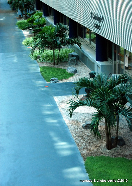 jardin d'interrieur (N H C Strasbourg)