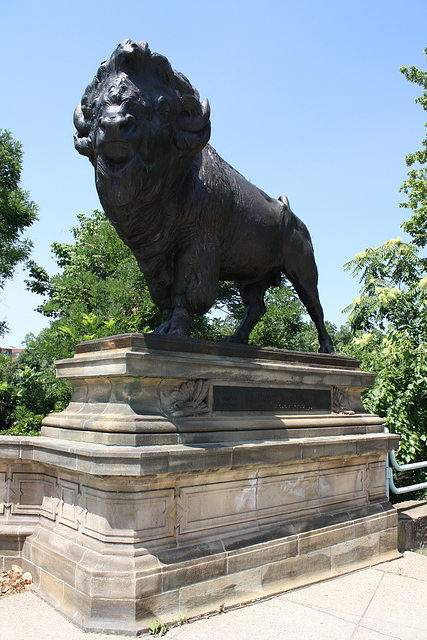 15.Bisons.AlexanderPhimisterProctor.QStreetBridge.NW.WDC.21June2010