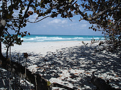 Plage et ombrage /  Beach and shade - Varadero, CUBA.  7 février 2010.