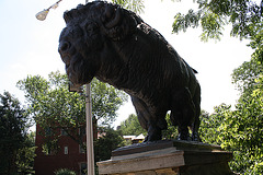 23.Bisons.AlexanderPhimisterProctor.QStreetBridge.NW.WDC.21June2010