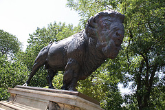 24.Bisons.AlexanderPhimisterProctor.QStreetBridge.NW.WDC.21June2010