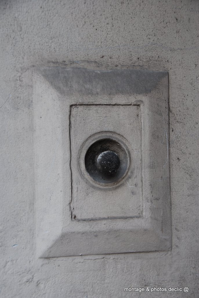 DSC 5967