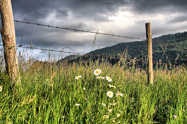 Cantal façon HDR