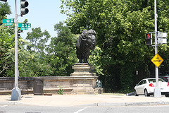 26.Bisons.AlexanderPhimisterProctor.QStreetBridge.NW.WDC.21June2010