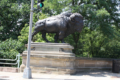 27.Bisons.AlexanderPhimisterProctor.QStreetBridge.NW.WDC.21June2010