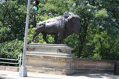 28.Bisons.AlexanderPhimisterProctor.QStreetBridge.NW.WDC.21June2010