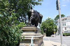 32.Bisons.AlexanderPhimisterProctor.QStreetBridge.NW.WDC.21June2010