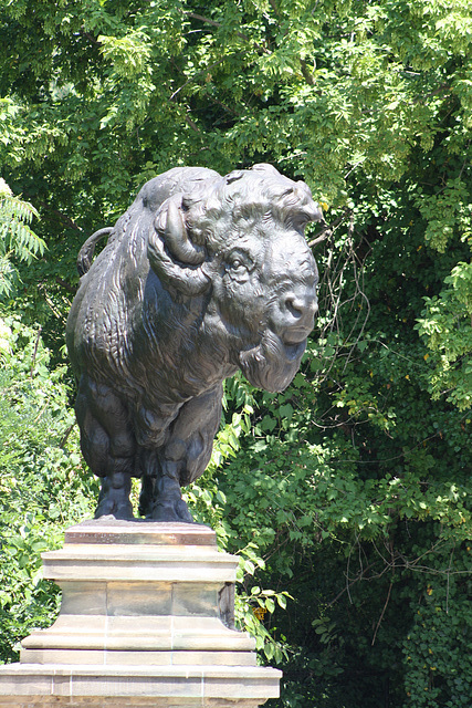 33.Bisons.AlexanderPhimisterProctor.QStreetBridge.NW.WDC.21June2010