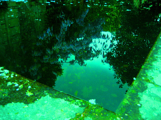 Amarante, Hostelry Casa da Calçada, garden (3)