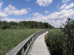 La passerelle au cinlb de granby