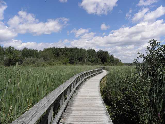 La passerelle au cinlb de granby