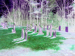 Old Burt cemetery /  Cimetière Old Burt - Près de Essex, NY- USA.  23 avril 2010 - Négatif RVB