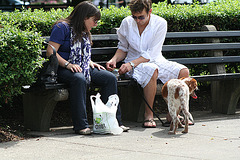 36.DupontCircle.WDC.22May2009