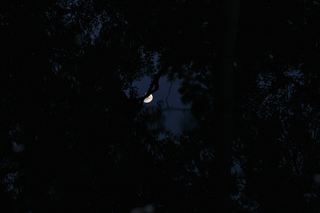 Mond angeln / moon-fishing