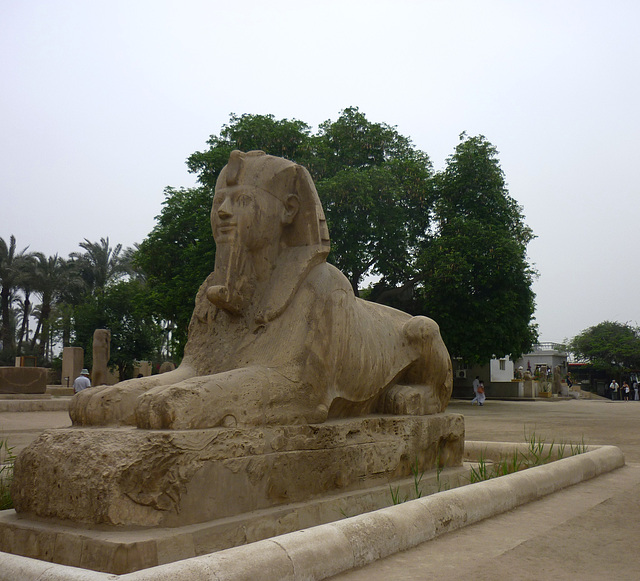 Sphinx de Memphis