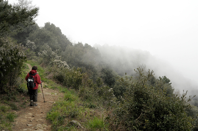 Wolkenwanderung