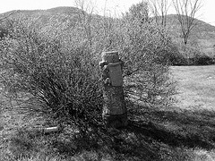 Old Burt cemetery /  Cimetière Old Burt - Près de Essex, NY- USA.  23 avril 2010 - N & B