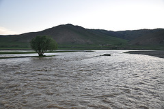 Vesperiĝas sur la rivero