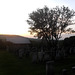 Danville cemetery - May 30th 2013.