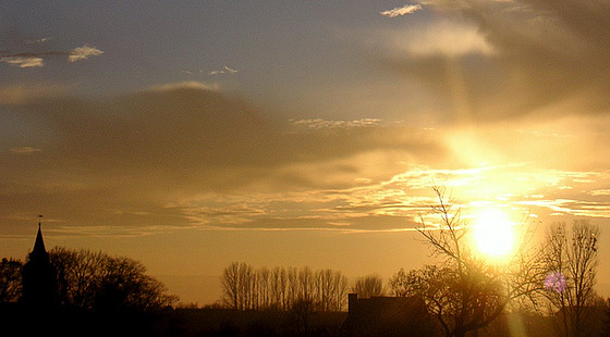 Abendsonne über Dorf Wehlen