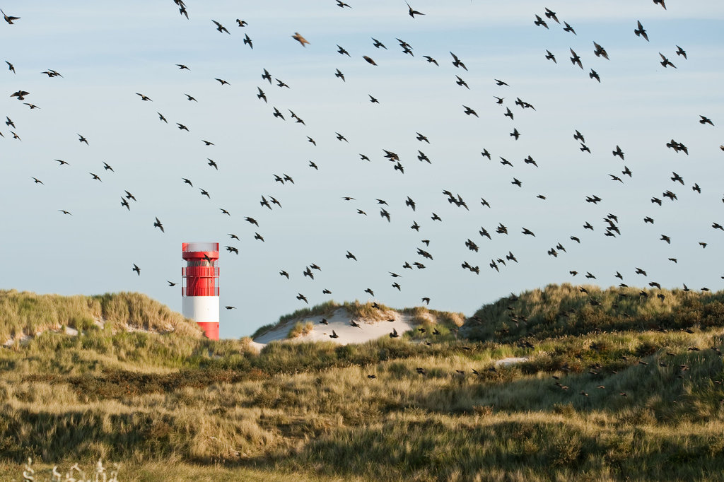 Lighthouse 3