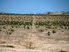 Evidence of a fault? Near Bat Cave Butte (2088)