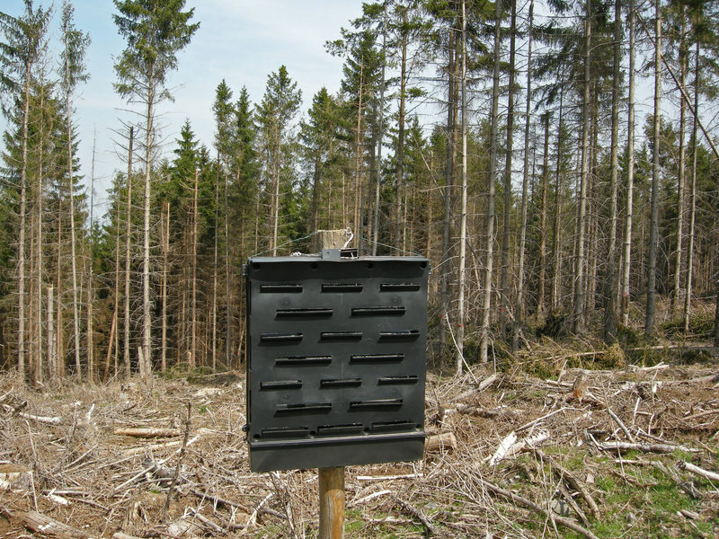 Borkenkäferfalle