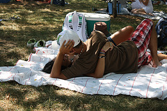 20.NationalMall.WDC.4July2010