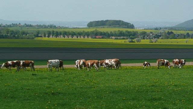 Blick über das Land hinter Lohmen