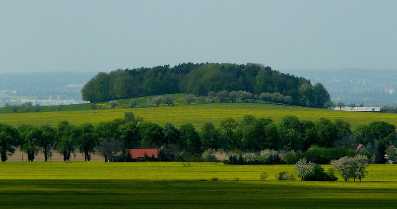 Blick über das Land hinter Lohmen