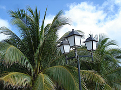 Lampadaires / palmiers / nuages -  Street lamps / palm trees / clouds - Varadero, CUBA.  3 février 2010